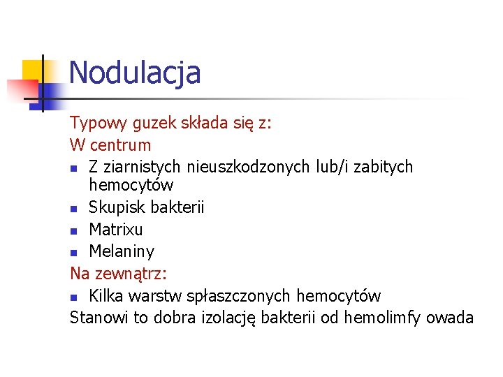 Nodulacja Typowy guzek składa się z: W centrum n Z ziarnistych nieuszkodzonych lub/i zabitych