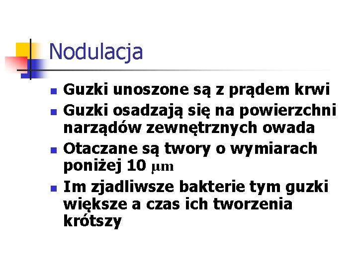 Nodulacja n n Guzki unoszone są z prądem krwi Guzki osadzają się na powierzchni