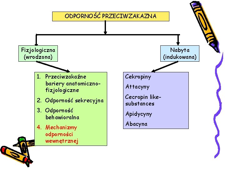 ODPORNOŚĆ PRZECIWZAKAZNA Fizjologiczna (wrodzona) 1. Przeciwzakaźne bariery anatomicznofizjologiczne 2. Odporność sekrecyjna 3. Odporność behawioralna