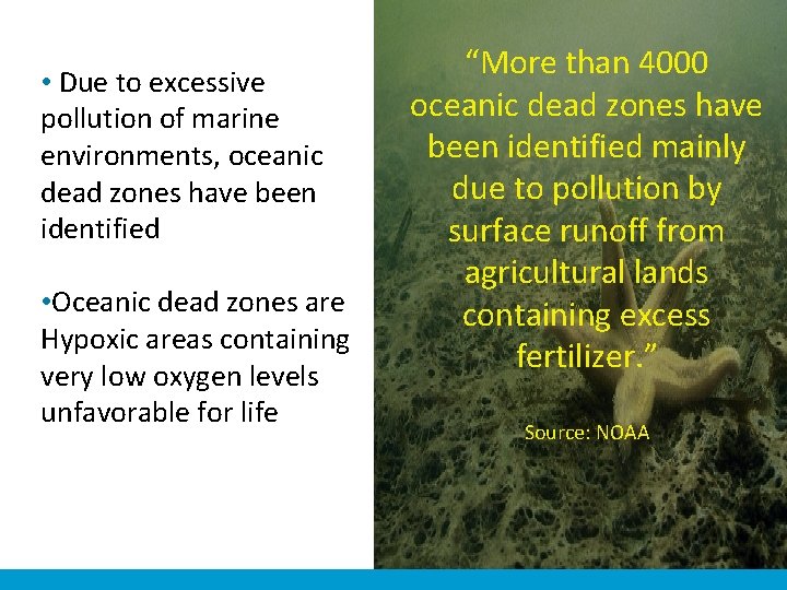  • Due to excessive pollution of marine environments, oceanic dead zones have been