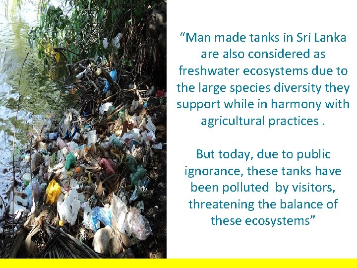 “Man made tanks in Sri Lanka are also considered as freshwater ecosystems due to