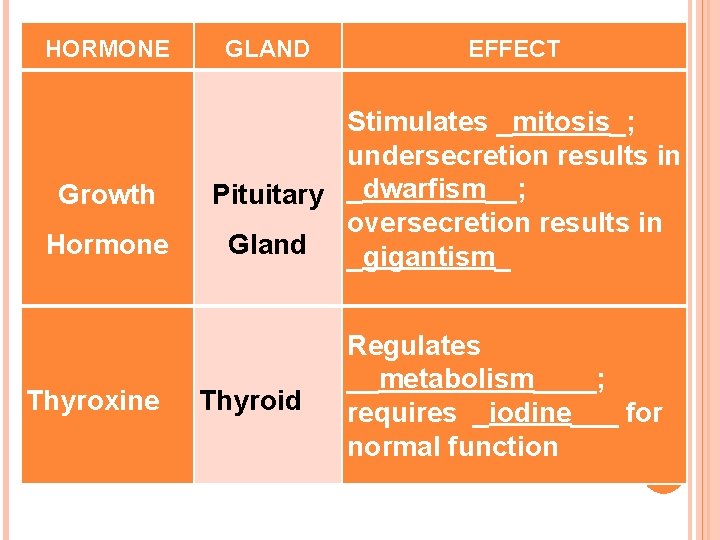 HORMONE Growth Hormone Thyroxine GLAND EFFECT Stimulates _mitosis_; undersecretion results in Pituitary _dwarfism__; oversecretion