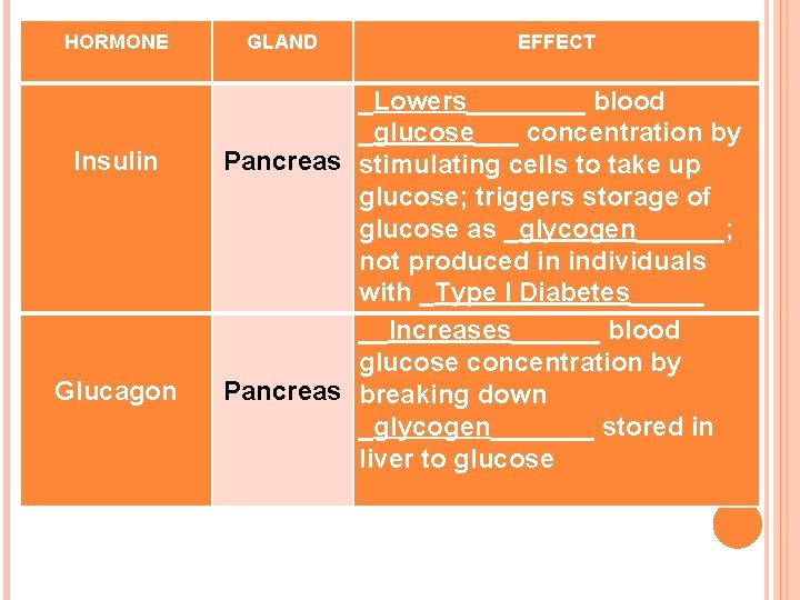 HORMONE Insulin Glucagon GLAND EFFECT _Lowers____ blood _glucose___ concentration by Pancreas stimulating cells to