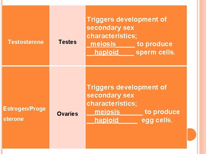 Testosterone Estrogen/Proge sterone Testes Ovaries Triggers development of secondary sex characteristics; _meiosis_____ to produce