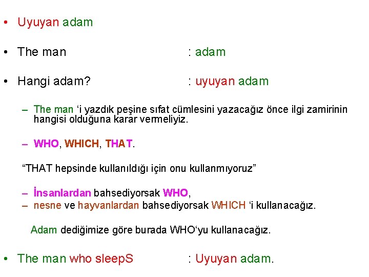  • Uyuyan adam • The man : adam • Hangi adam? : uyuyan