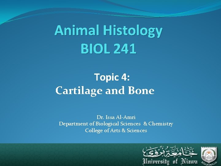 Animal Histology BIOL 241 Topic 4: Cartilage and Bone Dr. Issa Al-Amri Department of
