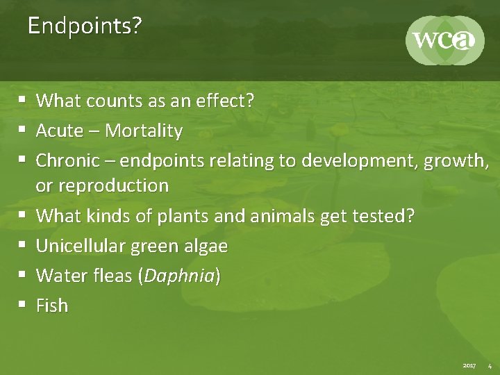 Endpoints? § What counts as an effect? § Acute – Mortality § Chronic –