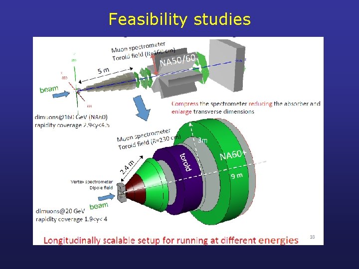 Feasibility studies 