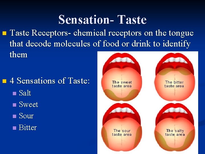 Sensation- Taste n Taste Receptors- chemical receptors on the tongue that decode molecules of