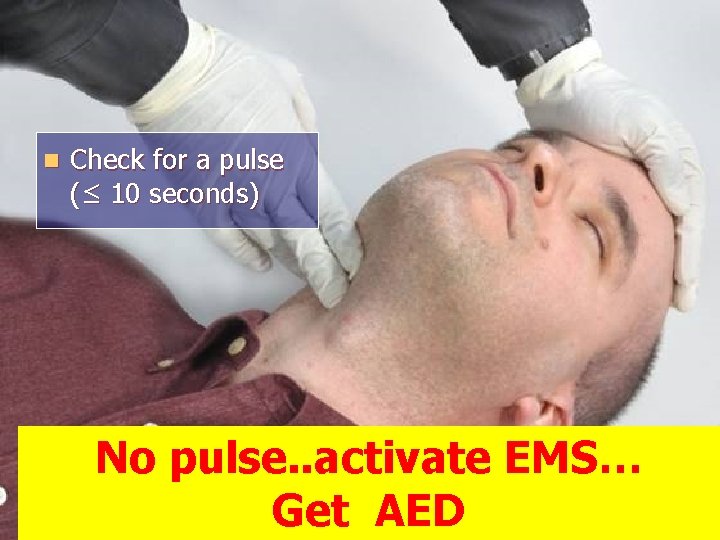 n Check for a pulse (≤ 10 seconds) No pulse. . activate EMS… Get