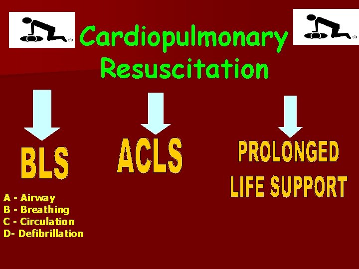 Cardiopulmonary Resuscitation A - Airway B - Breathing C - Circulation D- Defibrillation 