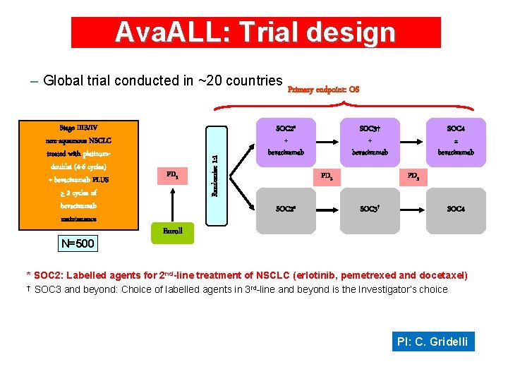 Ava. ALL: Trial design Stage IIIB/IV non-squamous NSCLC treated with platinumdoublet (4 -6 cycles)