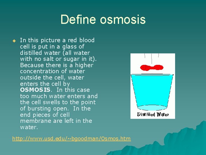 Define osmosis u In this picture a red blood cell is put in a