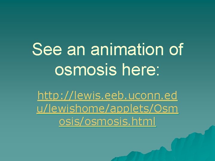 See an animation of osmosis here: http: //lewis. eeb. uconn. ed u/lewishome/applets/Osm osis/osmosis. html