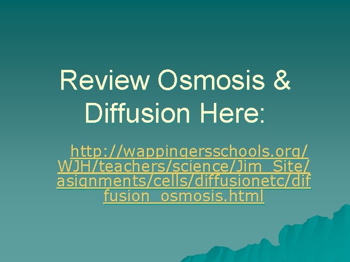 Review Osmosis & Diffusion Here: http: //wappingersschools. org/ WJH/teachers/science/Jim_Site/ asignments/cells/diffusionetc/dif fusion_osmosis. html 