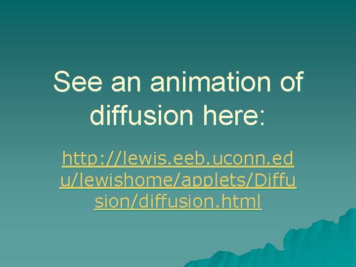 See an animation of diffusion here: http: //lewis. eeb. uconn. ed u/lewishome/applets/Diffu sion/diffusion. html