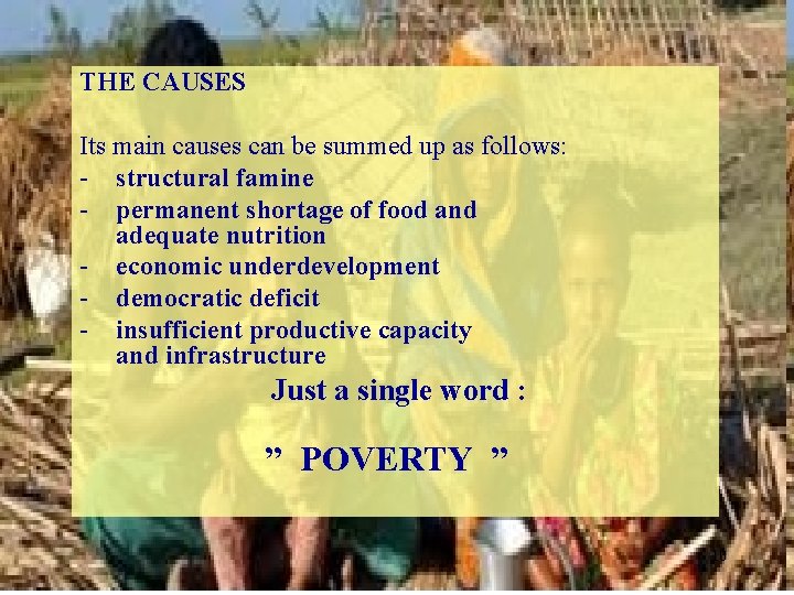 THE CAUSES Its main causes can be summed up as follows: - structural famine
