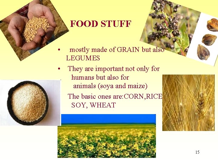 FOOD STUFF • mostly made of GRAIN but also LEGUMES • They are important