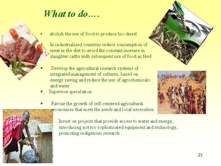 What to do…. § abolish the use of food to produce bio-diesel § In