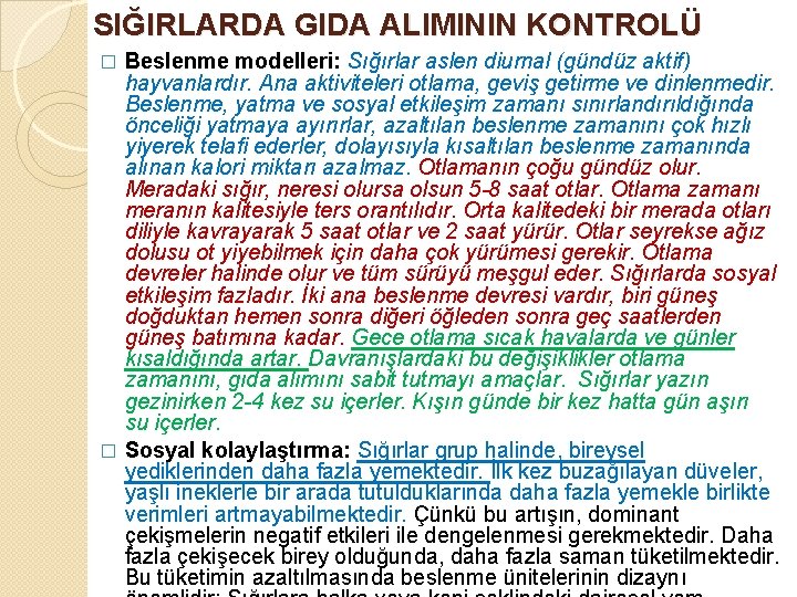 SIĞIRLARDA GIDA ALIMININ KONTROLÜ Beslenme modelleri: Sığırlar aslen diurnal (gündüz aktif) hayvanlardır. Ana aktiviteleri