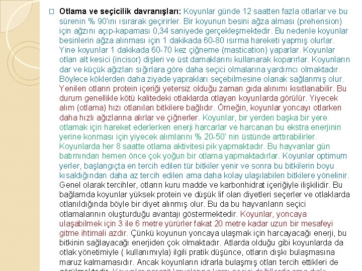 � Otlama ve seçicilik davranışları: Koyunlar günde 12 saatten fazla otlarlar ve bu sürenin