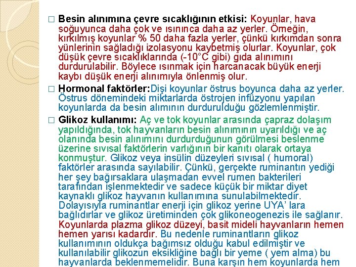 Besin alınımına çevre sıcaklığının etkisi: Koyunlar, hava soğuyunca daha çok ve ısınınca daha az