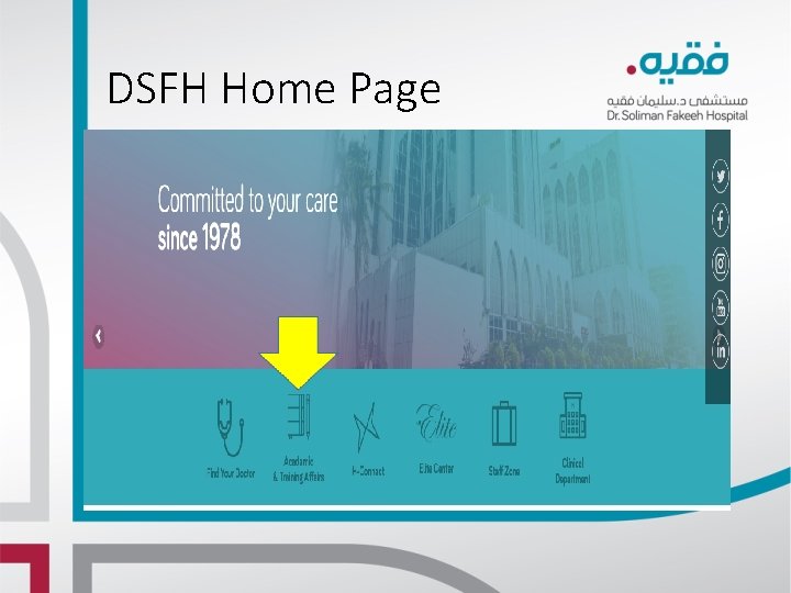 DSFH Home Page DSFH Home Page