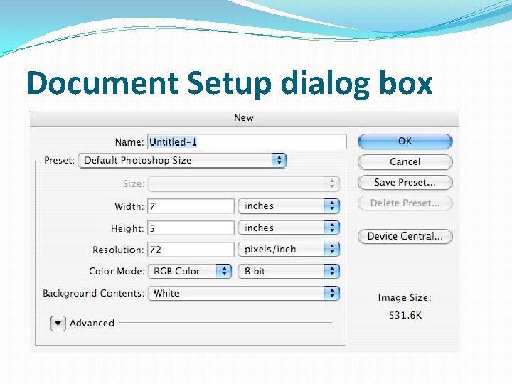 Document Setup dialog box 