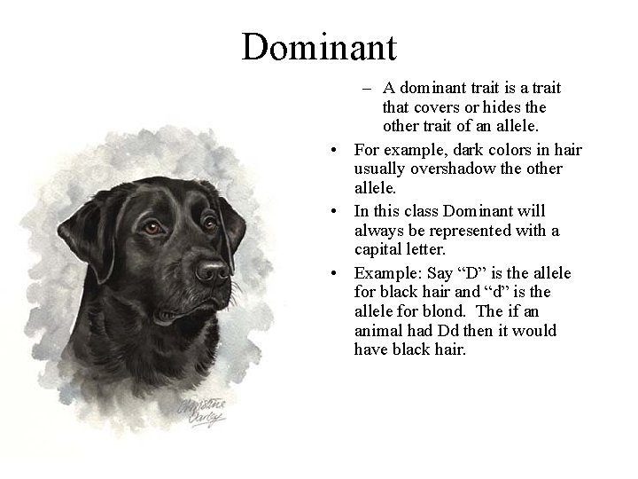Dominant – A dominant trait is a trait that covers or hides the other