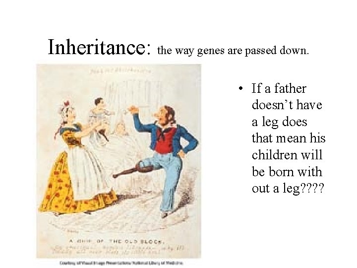 Inheritance: the way genes are passed down. • If a father doesn’t have a