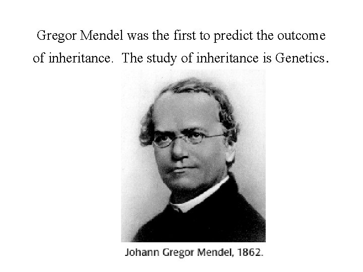 Gregor Mendel was the first to predict the outcome of inheritance. The study of