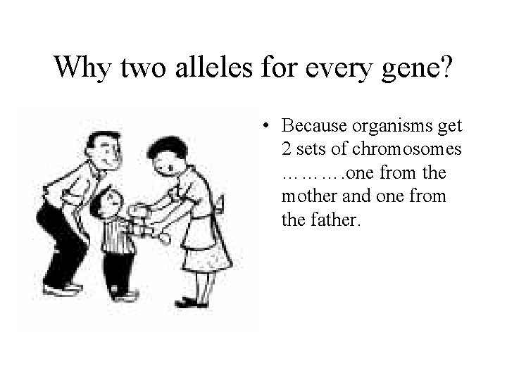 Why two alleles for every gene? • Because organisms get 2 sets of chromosomes