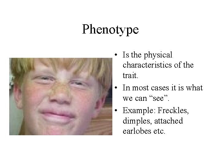 Phenotype • Is the physical characteristics of the trait. • In most cases it