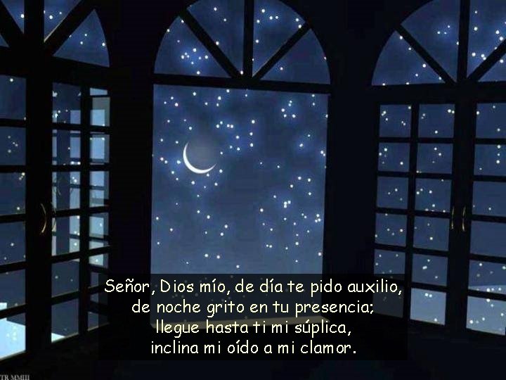 Señor, Dios mío, de día te pido auxilio, de noche grito en tu presencia;