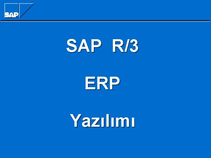 SAP R/3 ERP Yazılımı 
