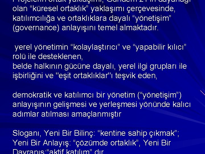 Projelerin ortak yaklaşımı, Gündem 21’in dayanağı olan “küresel ortaklık” yaklaşımı çerçevesinde, katılımcılığa ve ortaklıklara