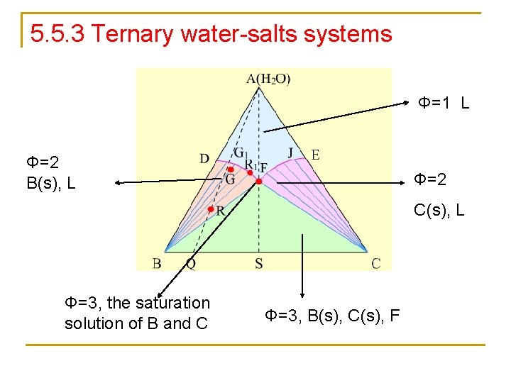 5. 5. 3 Ternary water-salts systems Φ=1 L Φ=2 B(s), L Φ=2 C(s), L