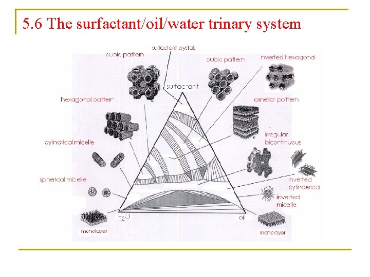 5. 6 The surfactant/oil/water trinary system 