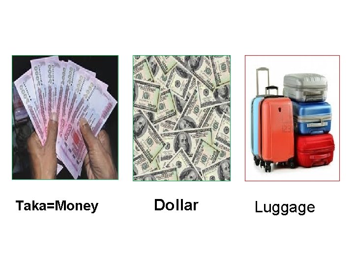 Taka=Money Dollar Luggage 