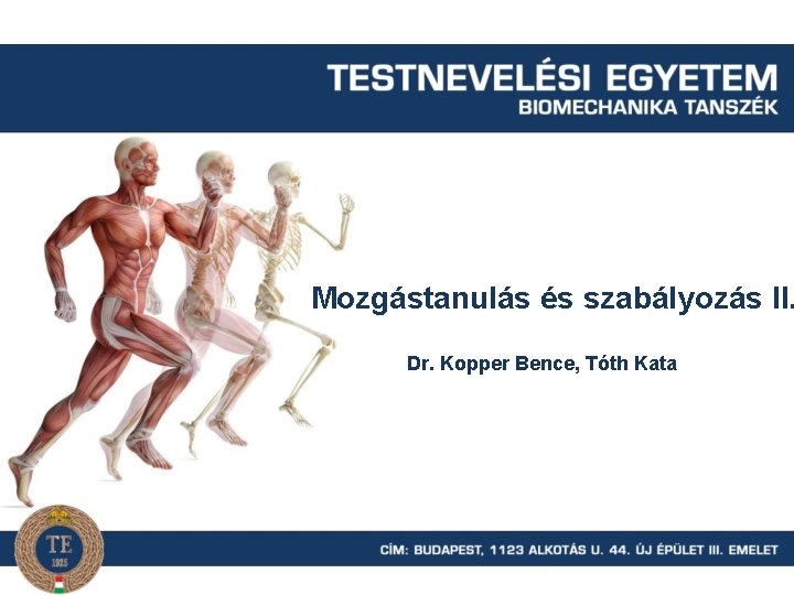 Mozgástanulás és szabályozás II. Dr. Kopper Bence, Tóth Kata 