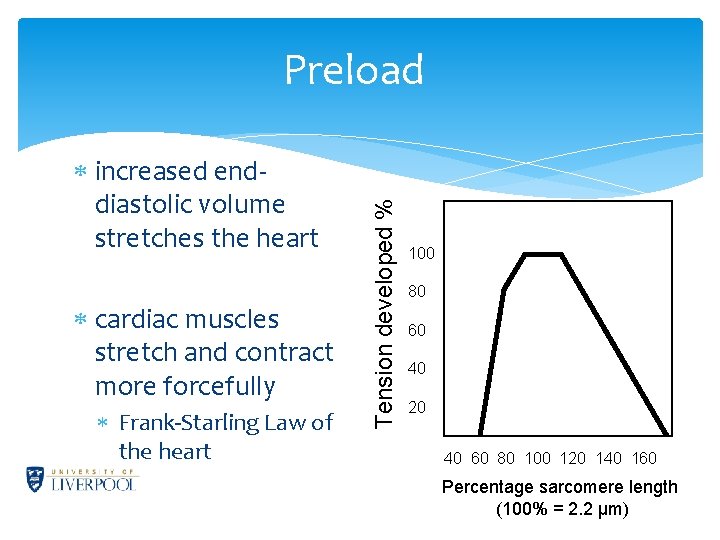 increased enddiastolic volume stretches the heart cardiac muscles stretch and contract more forcefully