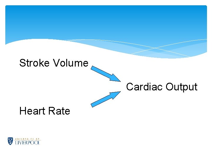 Stroke Volume Cardiac Output Heart Rate 
