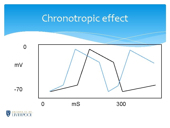 Chronotropic effect 0 m. V -70 0 m. S 300 