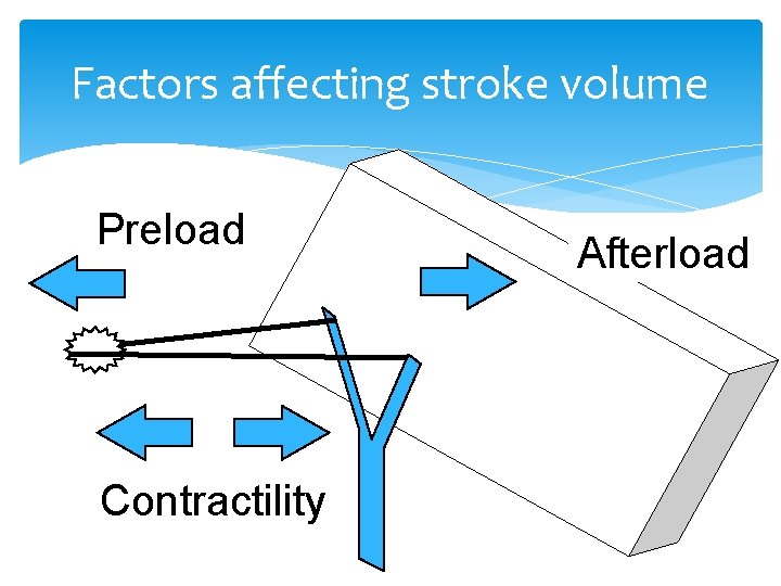 Factors affecting stroke volume Preload Contractility Afterload 