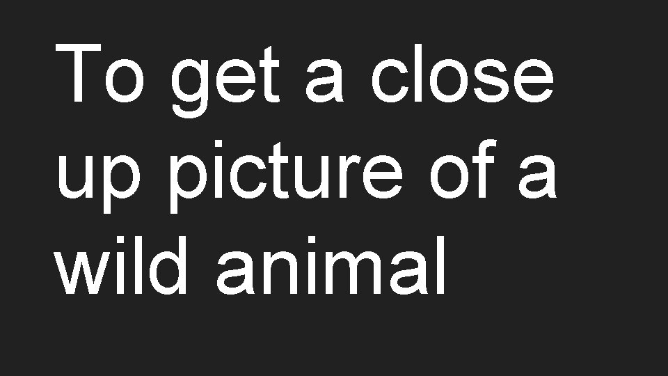 To get a close up picture of a wild animal 