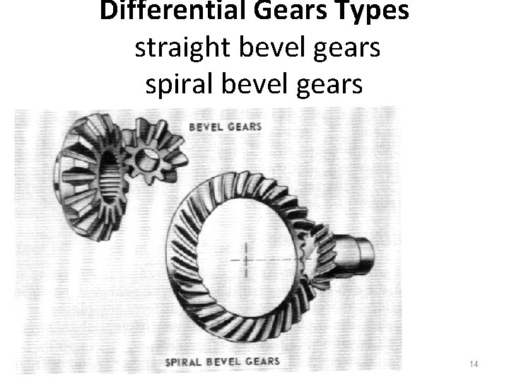 Differential Gears Types straight bevel gears spiral bevel gears www. thecartech. com 14 