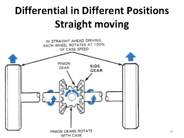 Differential in Different Positions Straight moving www. thecartech. com 19 