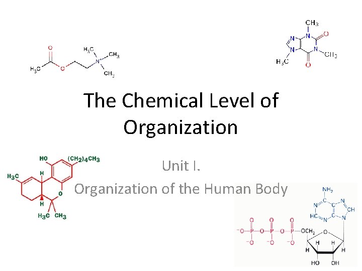 The Chemical Level of Organization Unit I. Organization of the Human Body 