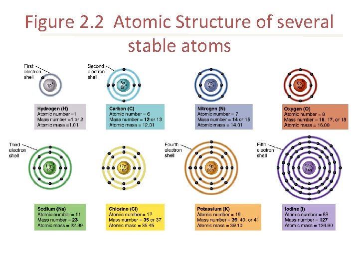 Figure 2. 2 Atomic Structure of several stable atoms 