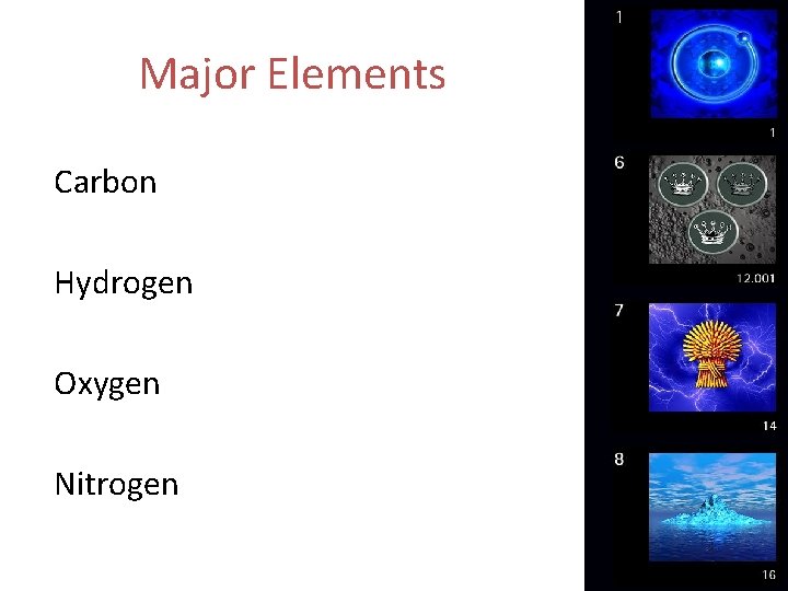 Major Elements Carbon Hydrogen Oxygen Nitrogen 